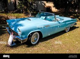Image result for Dresden Blue 1957 Thunderbird