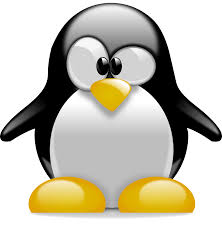 Resultats De Recherche D Images Pour Images Pingouins Gratuites Penguins Cute Baby Penguin Linux