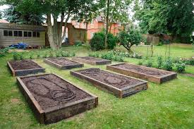 Ratgeber & tipps rund um den garten. Der Garten Ratgeber Alles Fur Den Gartenfreund