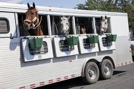 Goose neck four horse living horse trailer. Horse Trailers Lovetoknow