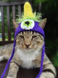 Cat Hat Costume The Flying Purple People Di Iheartneedlework Cat Dog Costume Dog Costume Cat Hat