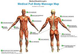 Freetrainers.com has a vast selection of exercises which are used throughout our workout plans. Medical Med Breakthrough7 Zero Gravity Massage Chair