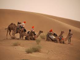These radiation induced monsters brought death to the desert and fought with the army in a battle for the la sewers. Sleeping Under The Stars In The Thar Desert On Camel Safari Jaisalmer