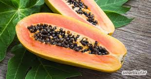Papaya adds the perfect crunch to bobby's filling salad. Papayakerne Nicht Wegwerfen Ein Schatz Fur Die Gesunde Kuche