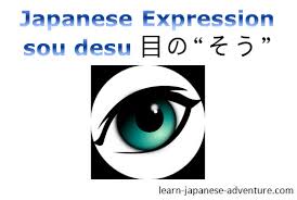 です), a japanese copula used to grammatically link a subject and predicate, often translated into english using a form of the verb to be. Japanese Expression ç›®ã®ãã†ã§ã™ Me No Sou Desu Learn Japanese Online