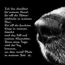 Ich Bin Dankbar Trauergedicht Anubis Tierbestattungen Zitate Tiere Hundespruche Spruche Tierliebe