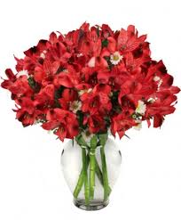 Check spelling or type a new query. Passionate Peruvian Lily Bouquet In Catonsville Md Blue Iris Flowers