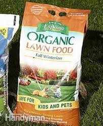 How To Fertilize Your Lawn Organic Lawn Fertilizer Organic Lawn Lawn Fertilizer