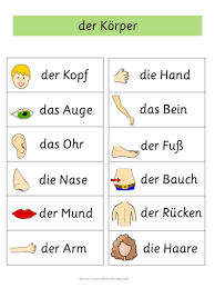 German Word Walls Basic Vocabulary Aprendizaje Idioma Aleman Aprender Aleman Idiomas Aprender