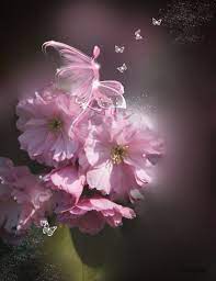Cherry Blossom Fairy Fairy Magic Beautiful Fairies Flower Fairies