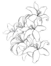 Epingle Sur Coloriage Fleurs Et Plantes Flowers And Plant Colouring Pages