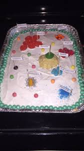 Check spelling or type a new query. Edible Animal Cell Project Made From Cake And Candy Edible Cell Project Plant Cell Cake Edible Cell