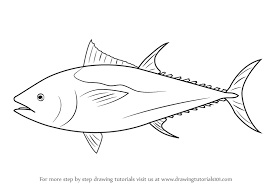 In the category fishing, you will find various motifs on the subject of sport for printing and coloring. It Is Specie Of Tuna Fish It Is Also Known As Tunny Northern Bluefin Giant Bluefin Bluefin Tuna Fish Drawings Bluefin