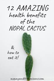 In mexico we eat some pretty strange foods, well strange if you're not used to them. 12 Amazing Health Benefits Of The Nopal Cactus And How To Eat It