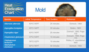 Mold Thermapure