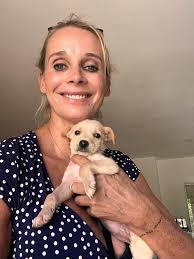 How to find homes for puppies in San Felipe?