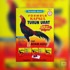Dalam kesempatan kali ini kita akan lebih membahas detail terkait ramuan tradisional untuk meningkatkan kebugaran ayam laga. Dragon Sn Jamu Ayam Bangkok Harga 1 Renteng Isi 10 Bungkus Shopee Indonesia