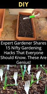 Expert Gardener Shares 15 Nifty Gardening Hacks That Everyone Should Know These Are Genius In 2021 Diy Life Hacks Hacks Diy Diy Life