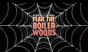 Halloween Fear The Boiler Woods Avec Paul Damy 2018 10 31 16 00 00 Categorie Clubbing Telecharger Notre Appli Mobil Marseille Aix En Provence Provence