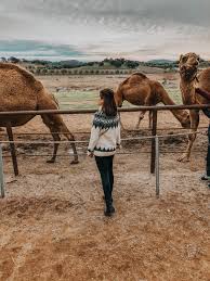 An escape to the farm can be a great way to relax, and get rid of some big city stress. Day Trip To Julian From San Diego Itinerary Palm Trees Pellegrino