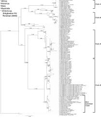 Image result for Chloris mossambicensis