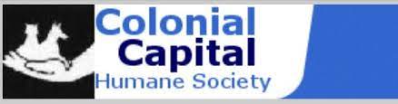 Nc As An All Volunteer Organization We Maintain A Virtual Office To Contact Us Please Leave A M Humane Society Volunteer Organization Virtual Office