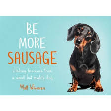 From a small seed a mighty trunk may grow. Be More Sausage Lifelong Lessons From A Small But Mighty Dog By Matt Whyman Hardcover Target