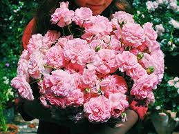 Maybe you would like to learn more about one of these? What To Plant In Winter In Each State In Australia Realestate Com Au