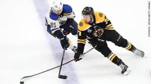 Image result for stanley cup 2019