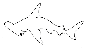 They're great for all ages. Hammerhead Shark Colouring Pages Hammerhai Hai Ausmalen