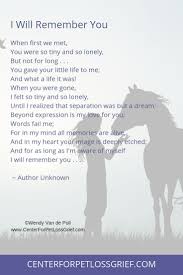  Pet Loss Poems To Heal Your Heart And Soul Center For Pet Loss Grief Inspirational Horse Quotes Horse Quotes Horse Riding Quotes