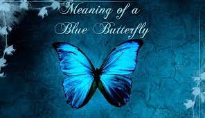 Meaning Of A Blue Butterfly Spiritual Experience Blue Morpho Butterfly Blue Butterfly Wallpaper Blue Butterfly