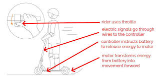 Never twist the throttle without being on the scooter in a balanced, ready to ride position with both hands on the handlebar controls. How Do Electric Scooters Work What You Must Know As An Owner Escooternerds
