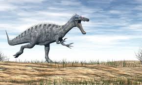Image result for Suchomimus