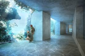 Check spelling or type a new query. Ozeanium Tierschutzer Wollen Das Basler Super Aquarium Stoppen