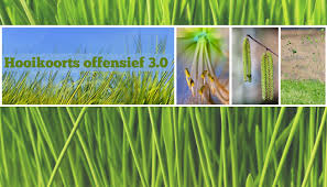 Hooikoorts ontstaat door een combinatie van blootstelling en aanleg. Hooikoorts Offensief 3 0 Home Facebook