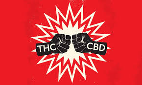 You can also share your results and compare them with the other users! Quiz How Well Do You Know Your Thc Vs Your Cbd Leafly