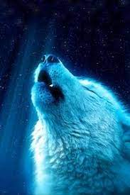 We did not find results for: Animals Wallpapers Samsung Galaxy Ace Gt S5830 Sony Xperia E Miro Htc Wildfire S C Lg O Animal Wallpaper Phone Wallpaper For Men Wallpapers Samsung Galaxy