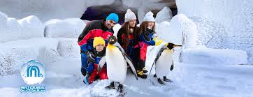 Please note that skyhike is not included with this special offer attractions pass, but is available. Tickets To Ski Dubai Platinumlist Net