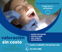 Dr. Joel Uriel Cano Estrada