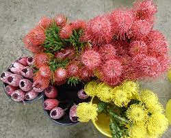 The one stop, online, fresh flower shop for florists and trade customers. Nebraska Omaha Bill Doran Company Wholesale Florist Bulk Flowers Nationwide