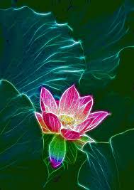 Pink Lotus Flower 9 By Lanjee Chee Pink Lotus Flowers Lily Pond