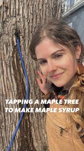 mmm, I looooove tree blood 🤤🩸, I like it