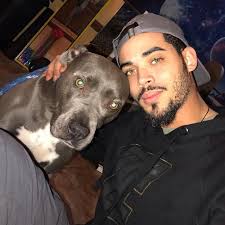 I'm so sorry to hear about your loss. Rob is truly heartbroken and is  finding it difficult to cope with the loneliness after losing his best  friend today. My thoughts are with