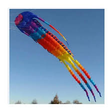 Amazon.com: FaNGFaNGFa Huge 3D Windsock Large Kite, Trilobite Kite, Squid  Kite Big Dragon Kite Flying Kites for Adults Cometas para Adultos : Toys &  ...