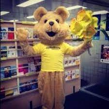 Cancer council's western region is one of seven regional offices making up the statewide services division. 23 Daffodil Supporters Ideas Daffodil Day Daffodils Cancer Free