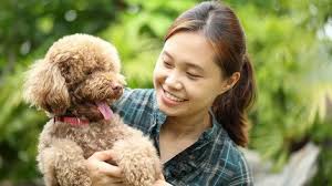 After all, each dog food is different in terms of its nutritional value and the. Best Dog Food For Small Dogs 2021 Dog Food Advisor