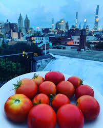 Der ️ amerika haus e.v. Amerikahaus Nrw Stadtnomaden
