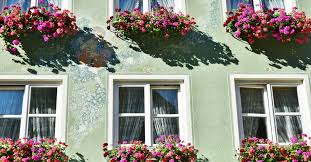 Curbside pickup · savings spotlights · everyday low prices How To Grow Flowers In Window Boxes Gardening Channel