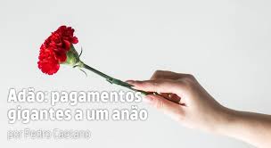 É assim a isenção da tsf. Adao Pagamentos Gigantes A Um Anao Jornal O Diabo